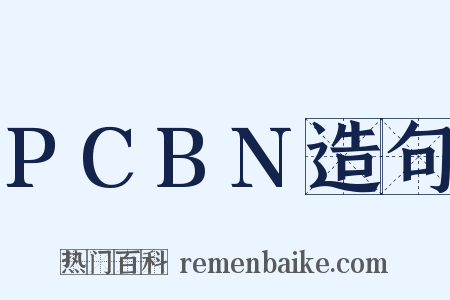 PCBN造句是什么意思的图片